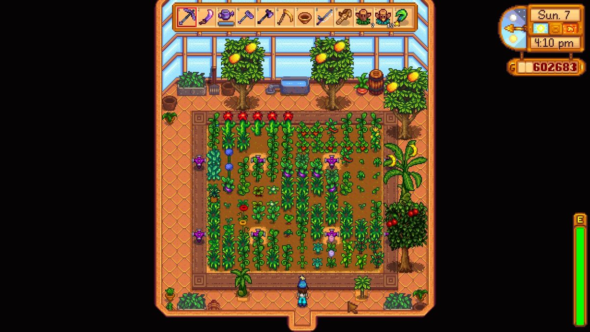Stardew Valley Collector's Edition screenshot 3 for Xbox One